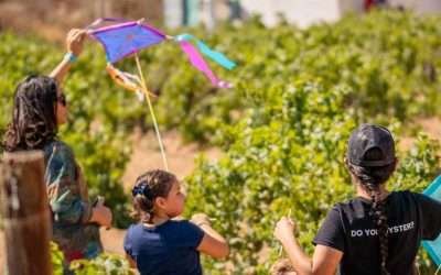 Todo listo para la ¨Fiesta de los Viñedos en Flor¨, evento 100% familiar