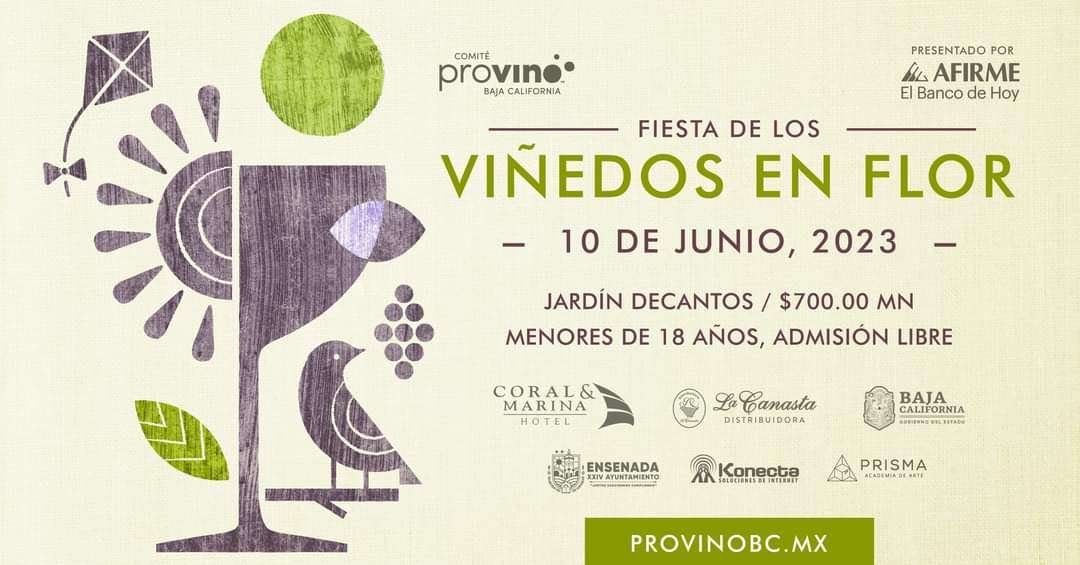 fiesta de los viñedos en flor