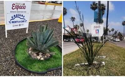 Adoptan ciudadanos y empresarios 24 espacios para áreas verdes🪴