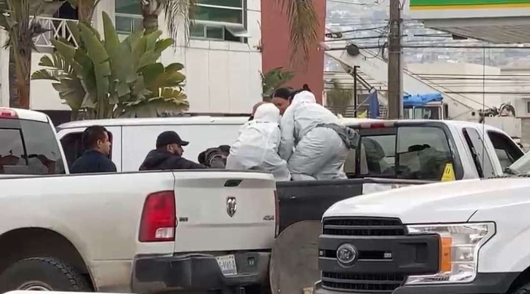 Cadáveres en Tijuana