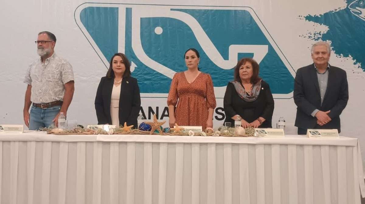 Minerva Pérez Castro