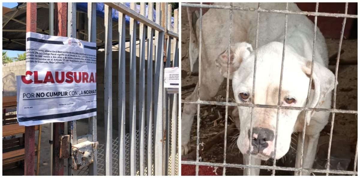 Clausura albergue ellos son la razon