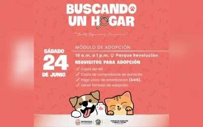 Regresa a Parque Revolución módulo de adopción de mascotas