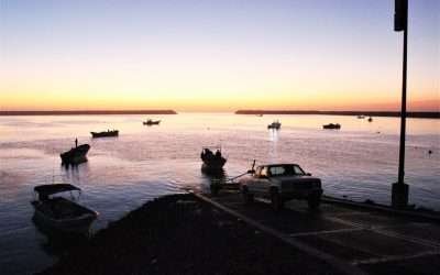 Arrancó el Campeonato Internacional de Pesca Deportiva ¨Copa Baja California¨