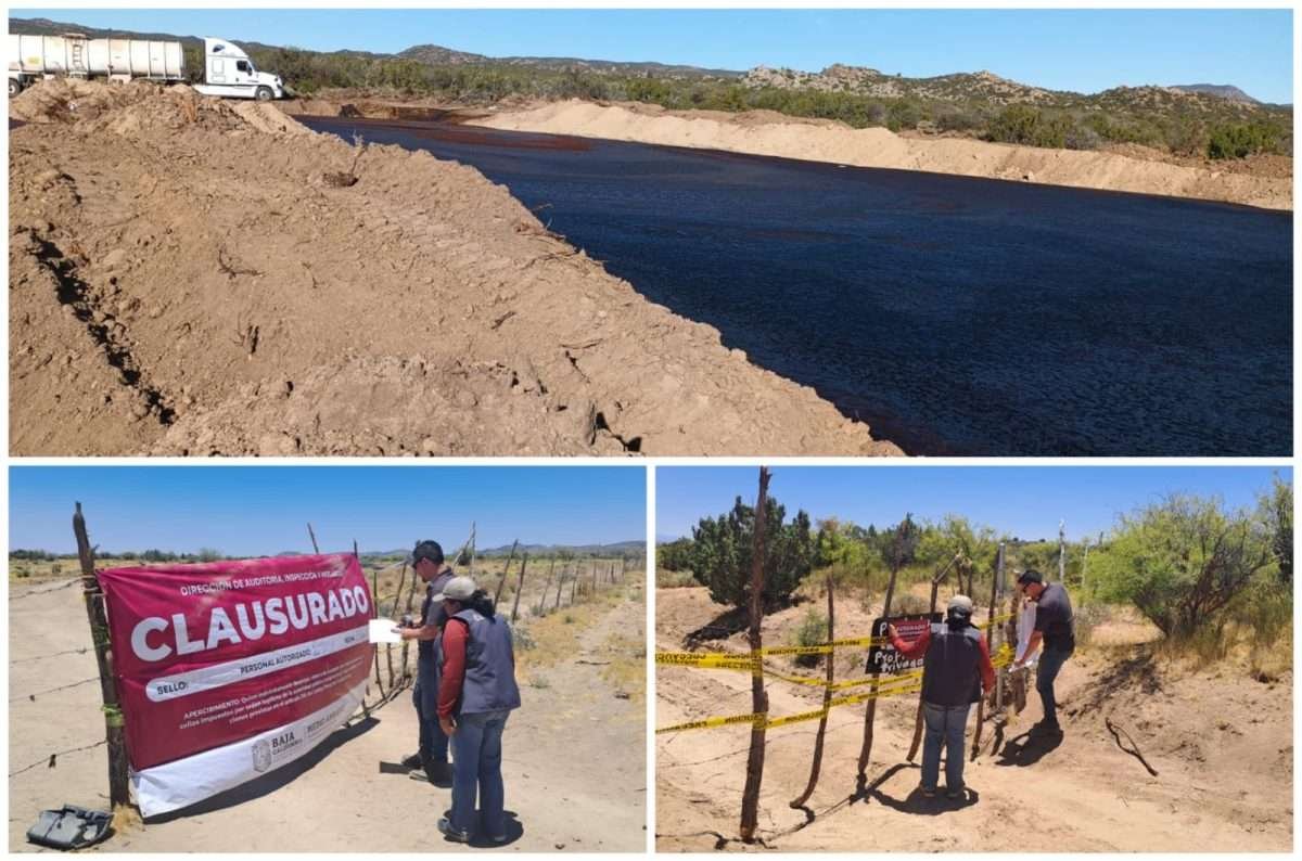 clausuró predio sanguaza