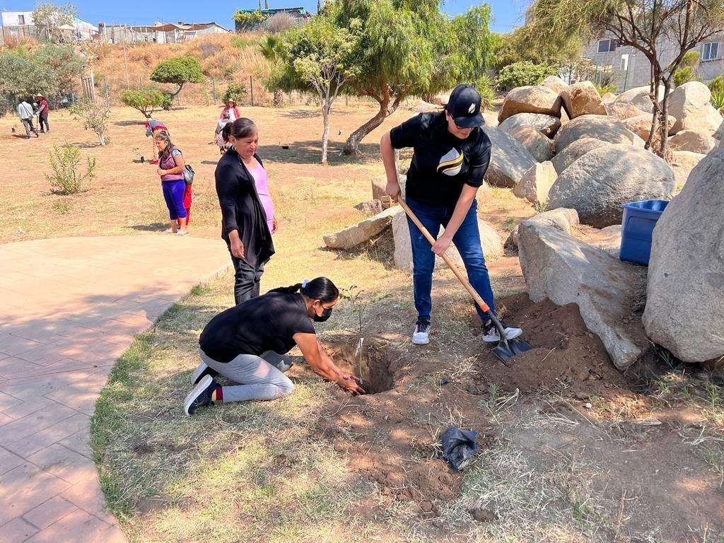 jornada reforestación CESPE
