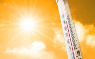 Ante la temporada de calor, estas son las acciones que no debes perder de vista