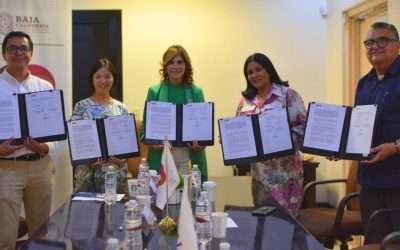 Tendrá UNICEF un espacio en DIF BC para reforzar acciones pro niñez