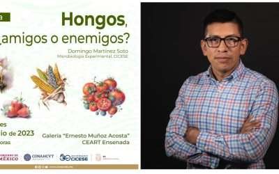 Hongos: ¿Amigos o Enemigos?