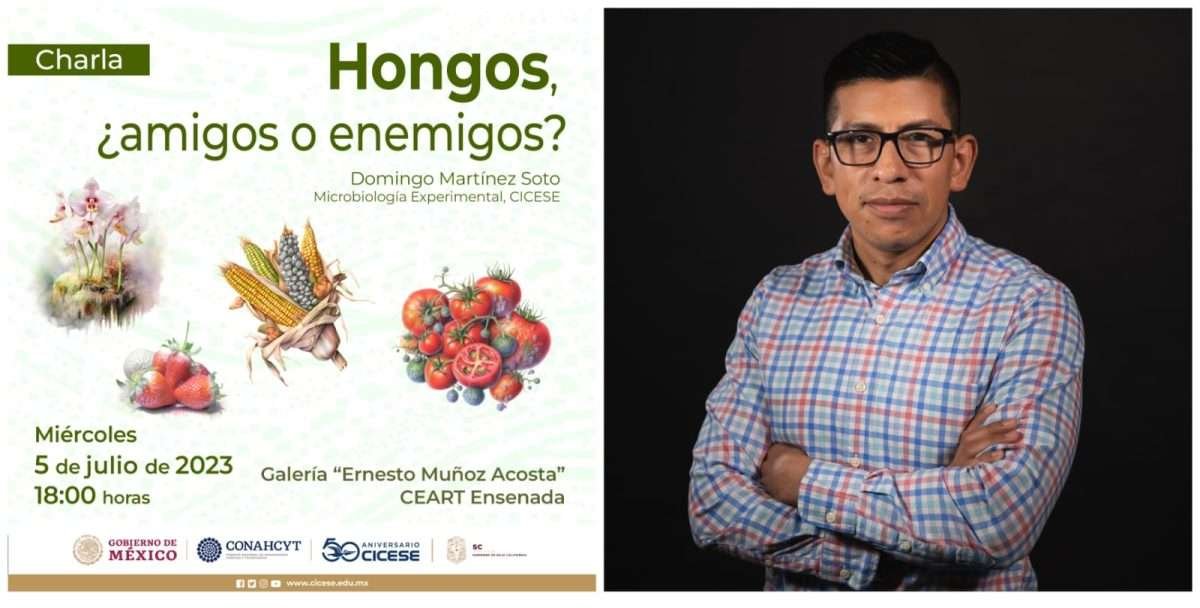 Charla Hongos CICESE