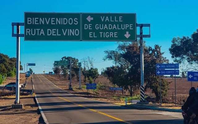 operativo comercio valle de guadalupe