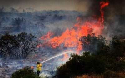 Declaran estado de prealerta por aumento de incendios forestales en Ensenada