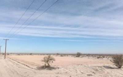 Negó Juez a Next Energy retrasar más el juicio: Gobierno del Estado