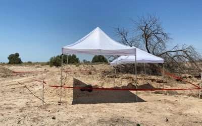 Ya suman 14 los cadáveres encontrados en fosa descubierta en Mexicali