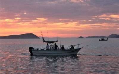 Arrancó en Bahía de los Ángeles la 2da etapa de ¨Copa Baja California¨