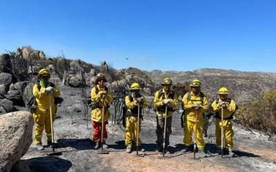 Destaca SADER BC preparación de combatientes de incendios forestales