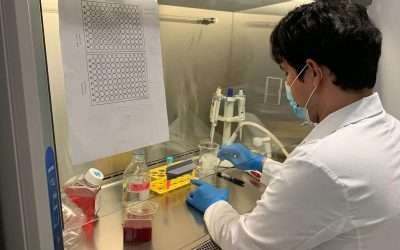 Diseñan estudiantes de CICESE moléculas para mejorar tratamientos de enfermedades metabólicas y neurodegenerativas