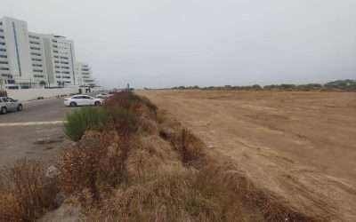 Multará Gobierno de Ensenada a responsables de alterar ecosistema cerca de La Lagunita