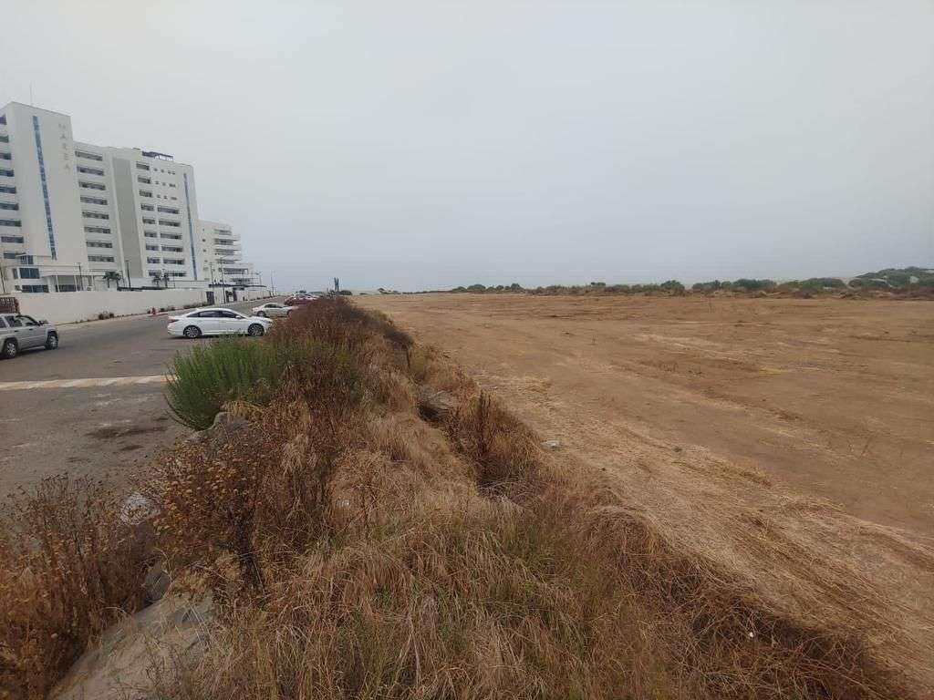 alteración ecosistema cerca de La Lagunita