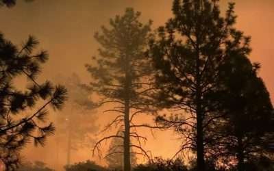 Combate CONAFOR dos incendios en Sierra de Juárez