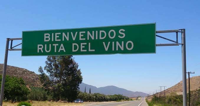Ruta del vino