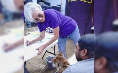 Cumple ¨4 Patas¨ 15 años de promover la esterilización y adopción