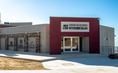 Ofrece CEVIT de CETYS amplia oferta educativa