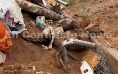 Confirma FGE muerte de mascotas tras desalojo de albergue en Ensenada