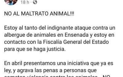 Reprueba Gobernadora desalojo violento de albergue de mascotas en Ensenada
