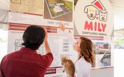 Prioridad atención digna a los animales: Marina del Pilar