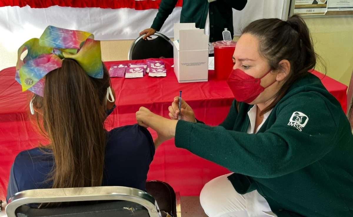 vacunación IMSS
