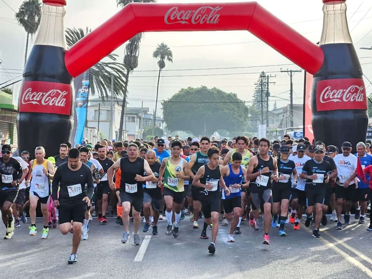 carrera burócrata