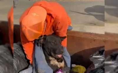 Rescatan Policías y Los Adoptables a perrito herido tirado a la basura