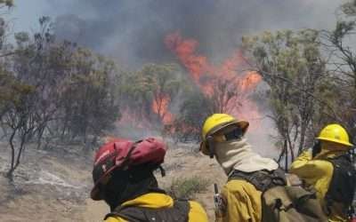 Atienden Bomberos de Ensenada tres incendios forestales