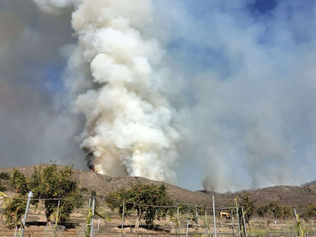 incendios forestales