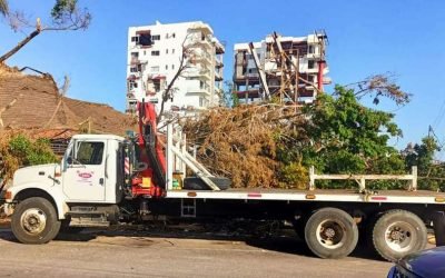 Construir un nuevo Acapulco tomará hasta 5 años: CMIC Nacional