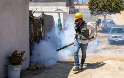 Detectan brote de dengue en San Felipe