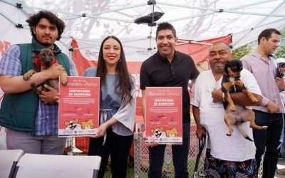 Adoptan a más de 300 mascotas en Ensenada