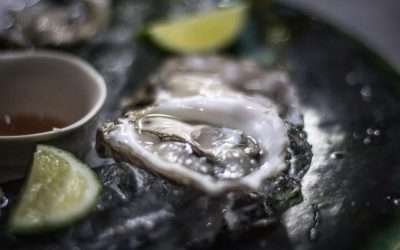 Promueve Gobierno Estatal consolidación del cultivo de ostión