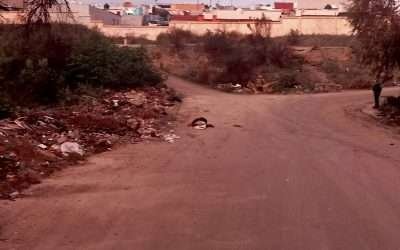 Localizan a hombre sin vida y maniatado en Villas del Prado