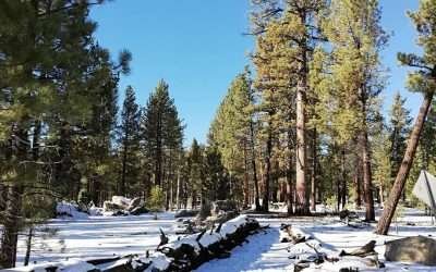 Prevén nevadas esta semana en Sierras de Baja California