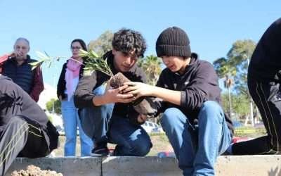 Implementa CETYS programa de forestación en campus, en pro del medio ambiente