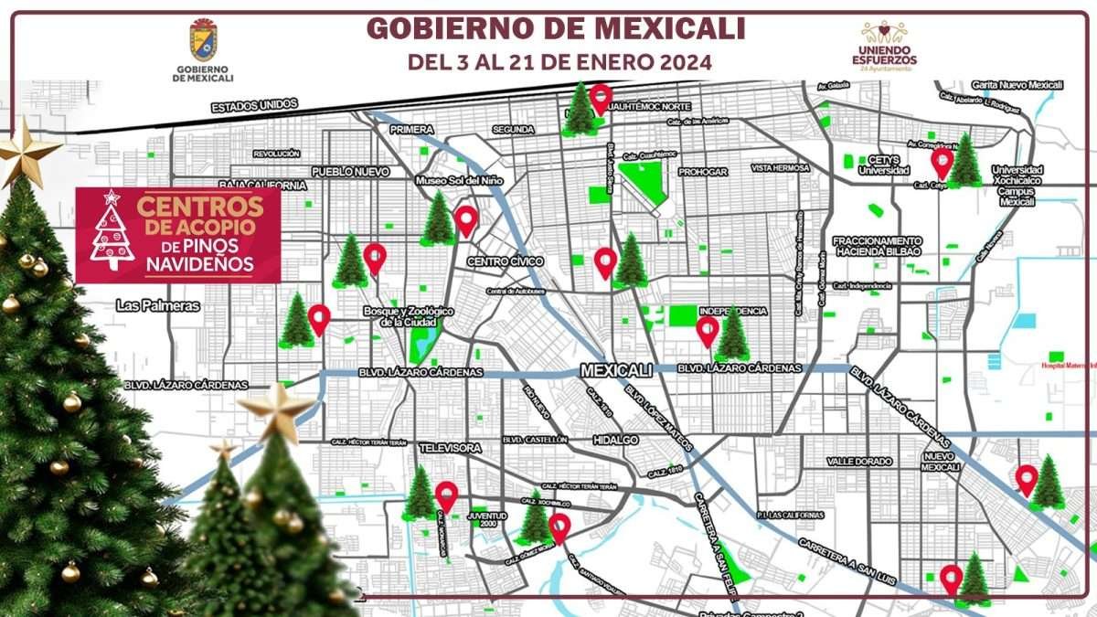 Centros Acopio árboles Mexicali 