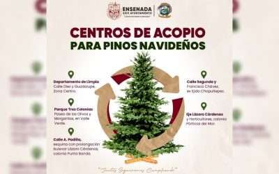 Activarán en Ensenada Centro de Acopio de árboles navideños