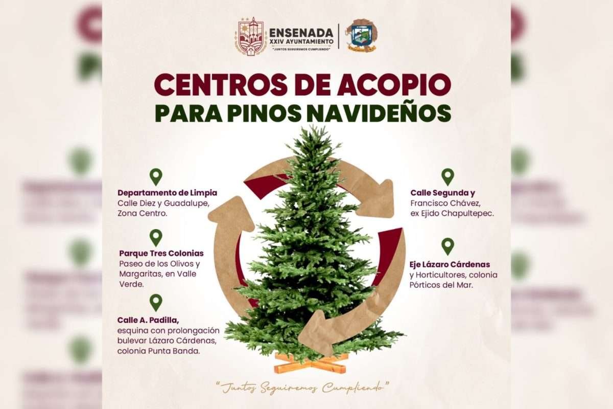 centros de acopio ensenada