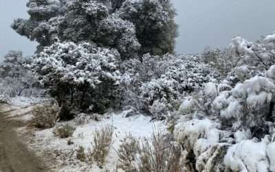 Nuevo Frente Frío traerá este jueves nevadas en Sierras de Baja California