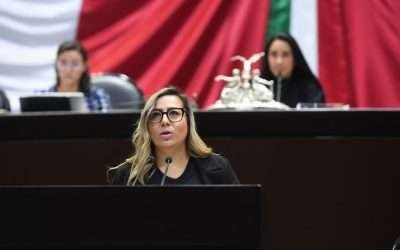 Urgen acciones de combate a ola violenta en Baja California: Lizbeth Mata