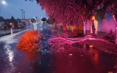 Reporta Gobierno de Ensenada incidentes menores por lluvias