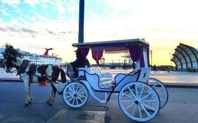 Trabaja ITE en reconversión de calandrias