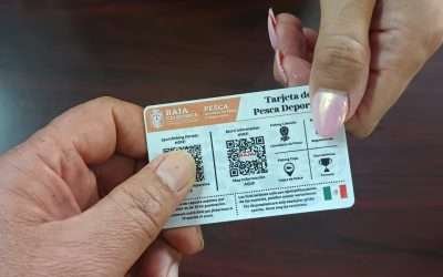 Distribuye SEPESCA tarjetas informativas de pesca deportiva